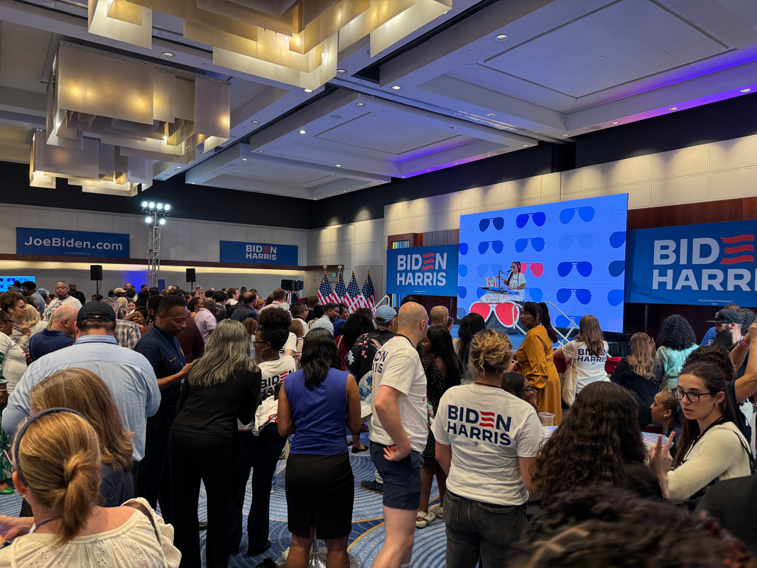 Overview of the Biden-Trump Debate: A HALO Perspective